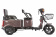 Трицикл eltreco rutrike вагон